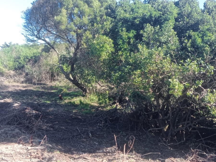 Commercial Property for Sale in Paradise Beach Eastern Cape